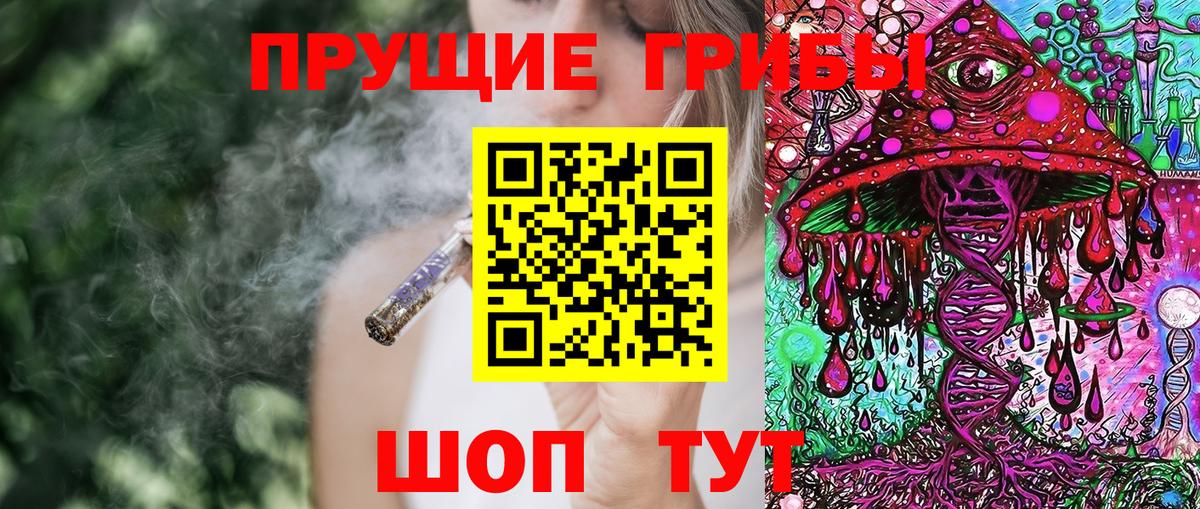 Галлюциногенные грибы Cubensis Каменка